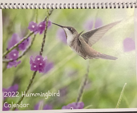 hummingbird calendar