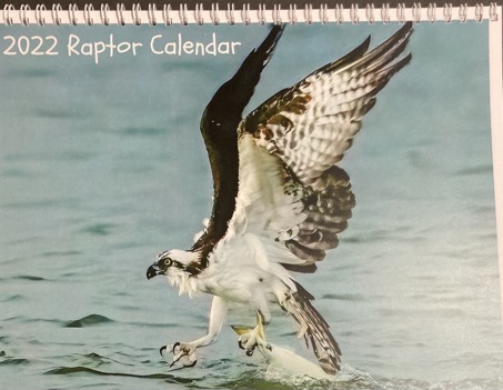 front cover of raptors calendar