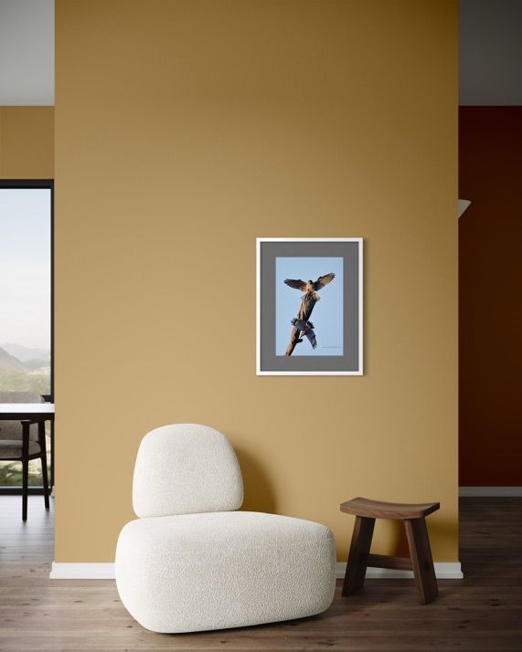 96050015-F37D-495B-9FBF-F8EF6067C86D_1_102_o