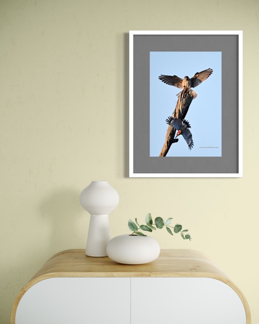 E289C4D4-386D-4B3F-99AD-93BFD87D507E_1_102_o